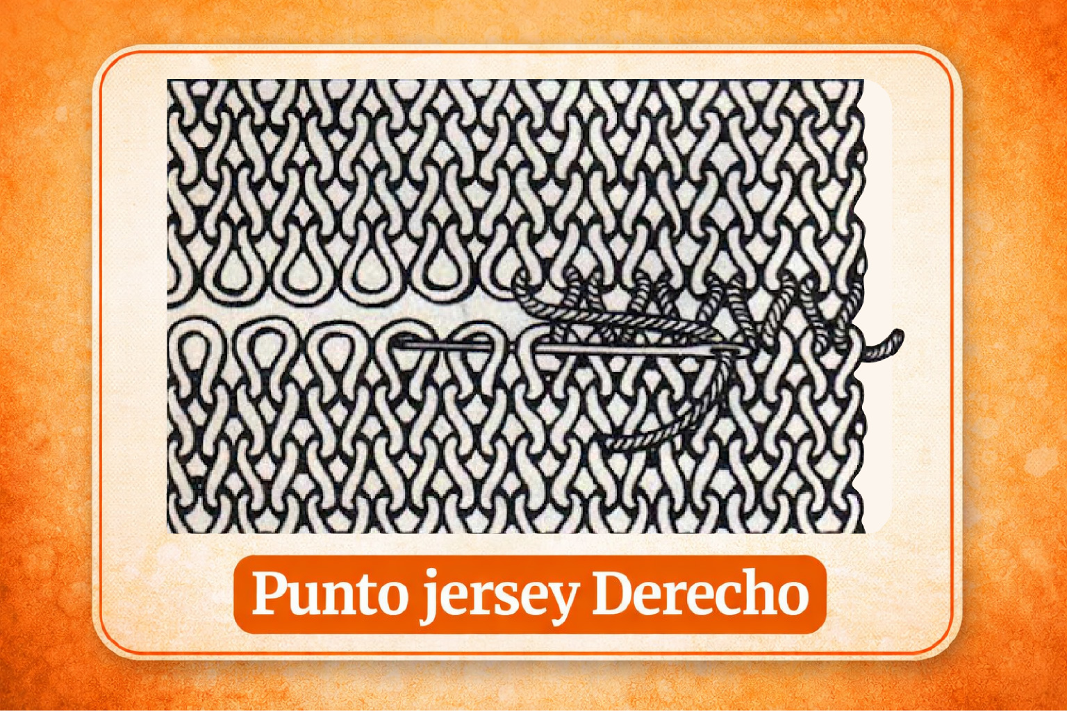 1- Punto Jersey Derecho